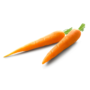 Buy Wholesale Carrots from Greenworld