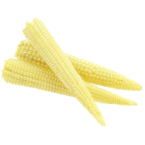 Buy Bulk Baby Corn from Greenworld
